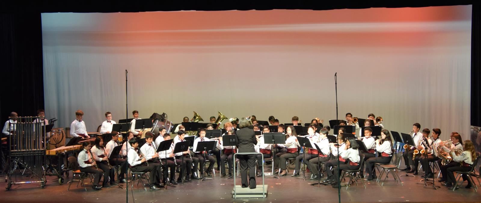 FSMS Band 